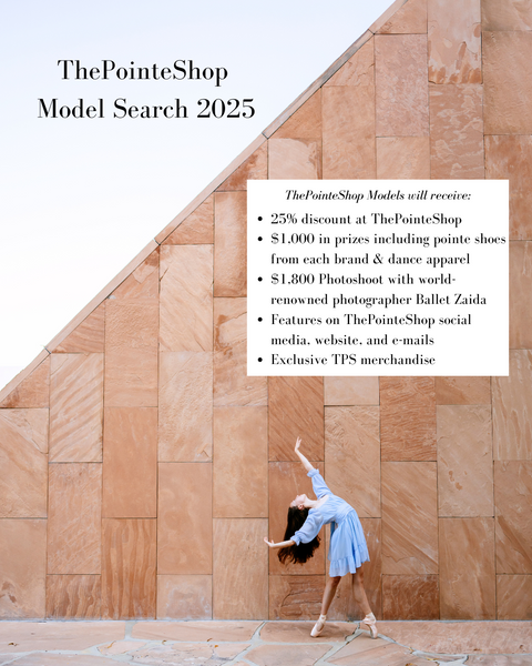 2025 Model Search Application Fee