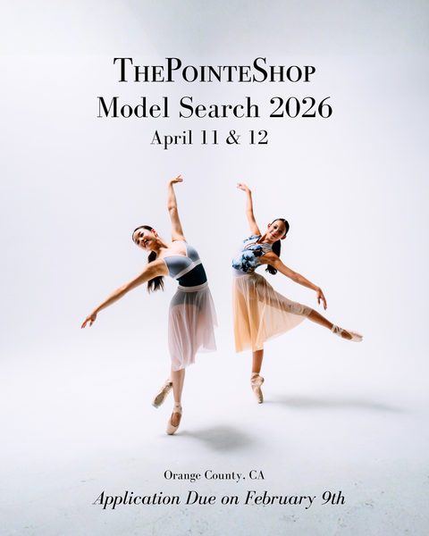 2026 Model Search Application Fee