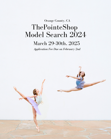 2025 Model Search Application Fee