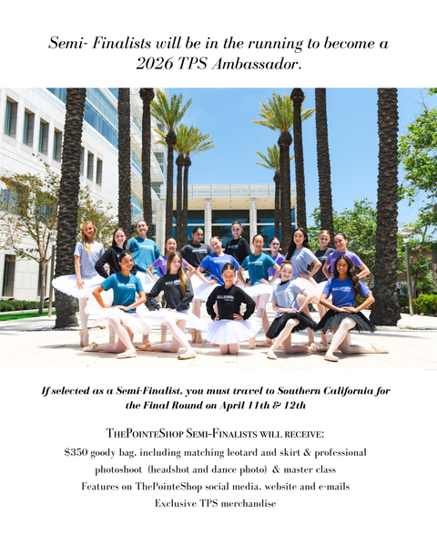 2026 Model Search Application Fee